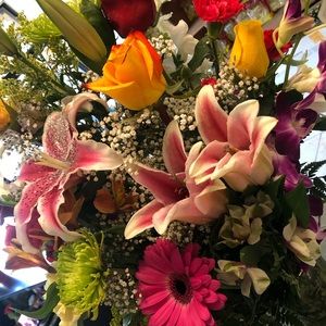 Meet your Posher, Ann